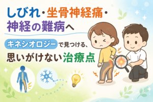 キネシオロジーでみつける坐骨神経痛のポイント