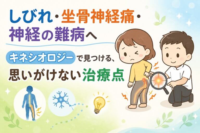 キネシオロジーでみつける坐骨神経痛のポイント